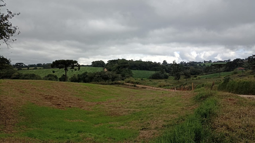 Lote/Terreno Tronco, Castro - PR