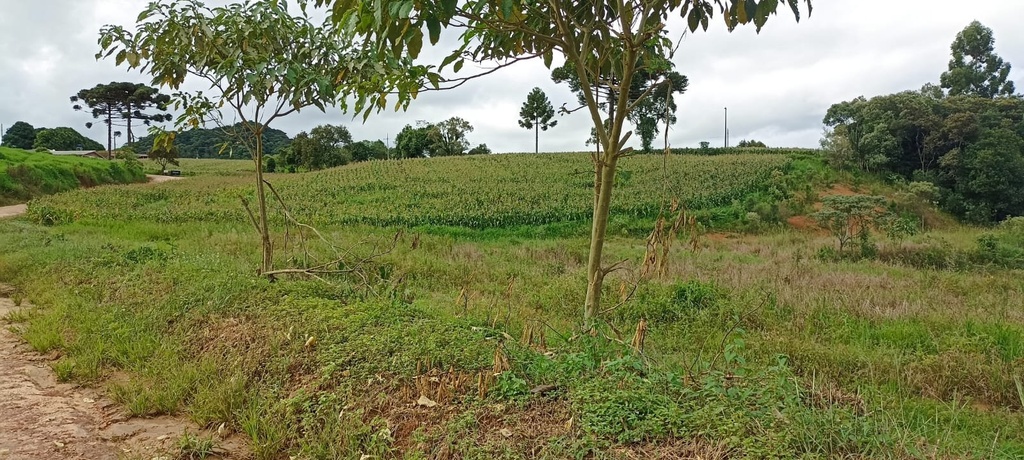 residential-/-land-lot-20m2-tronco-castro-pr