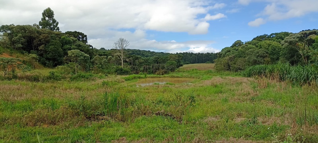 residential-/-land-lot-20m2-tronco-castro-pr