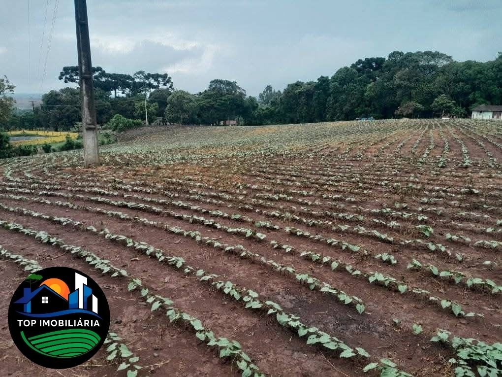 Chácara Centro, Piraí do Sul - PR