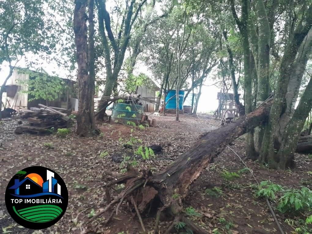 residential-/-farm-ranch-centro-pirai-do-sul-pr