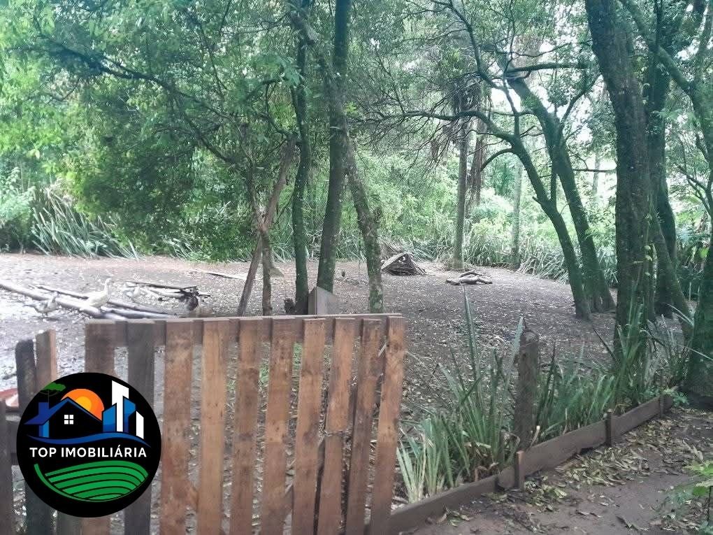 residential-/-farm-ranch-centro-pirai-do-sul-pr