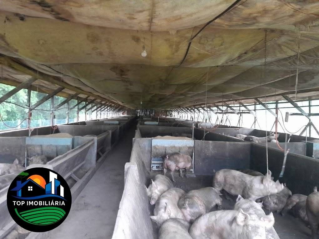 residential-/-farm-ranch-centro-pirai-do-sul-pr