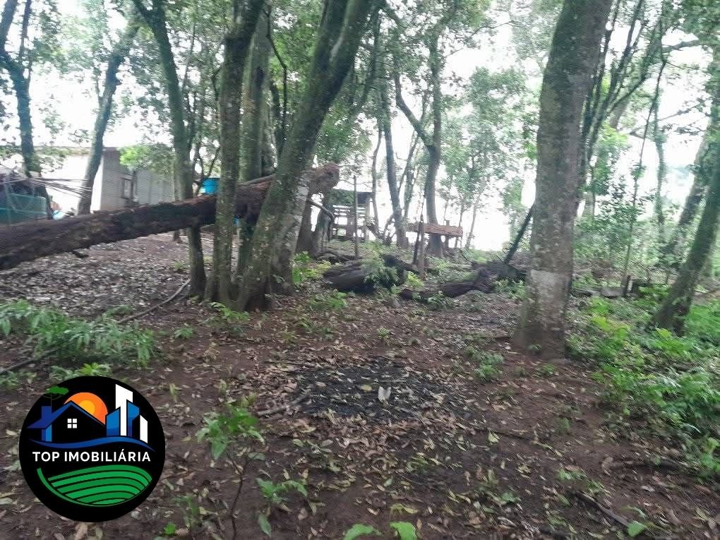 residential-/-farm-ranch-centro-pirai-do-sul-pr